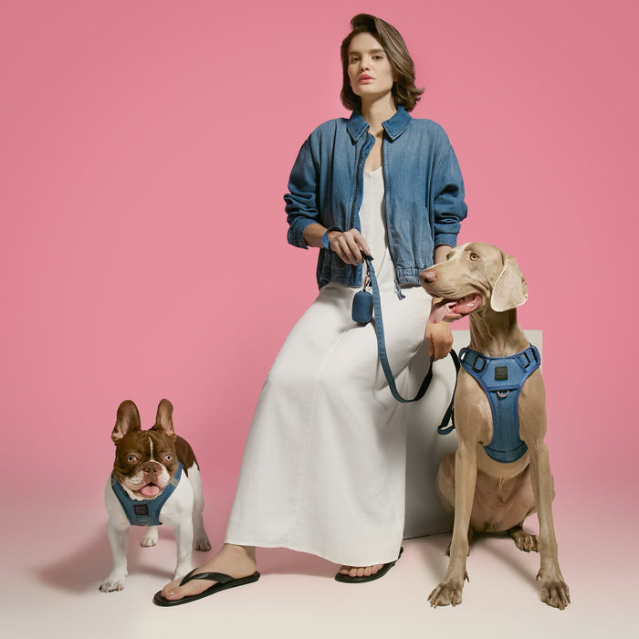 Denim SoHo Step-In Dog Harness, photo 4