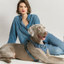 Denim NoMad Adjustable Dog Harness, photo 7