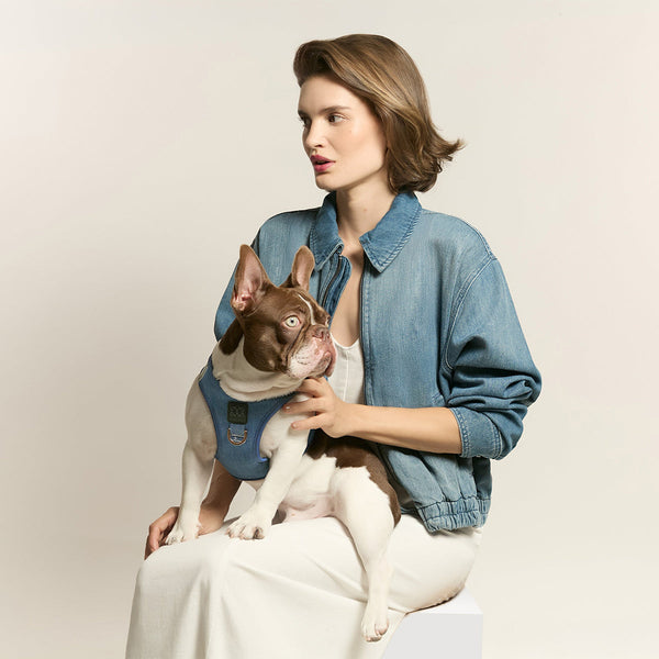 Denim SoHo Step-In Dog Harness, photo 2