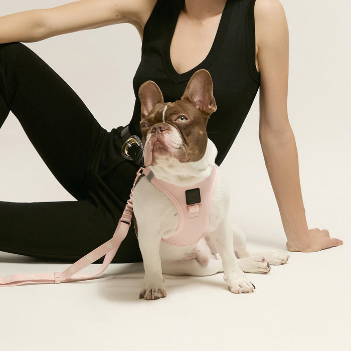 Blush Pink SoHo Step-In Dog Harness, photo 3