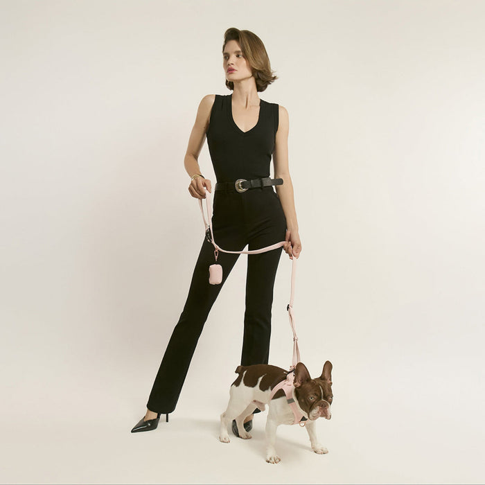 Blush City Bungee Dog Leash, photo 3