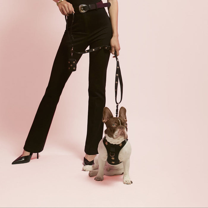 Rockstar SoHo Step-In Dog Harness, photo 4