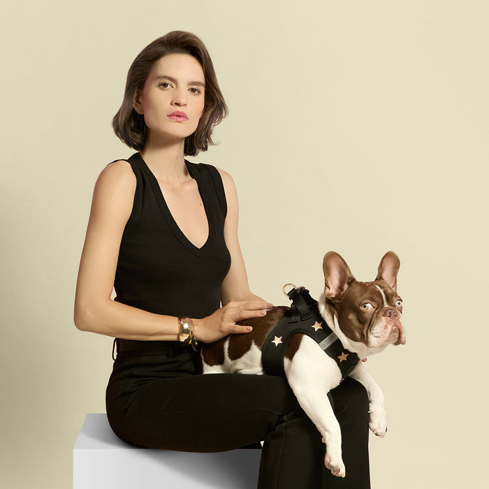 Rockstar SoHo Step-In Dog Harness, photo 5
