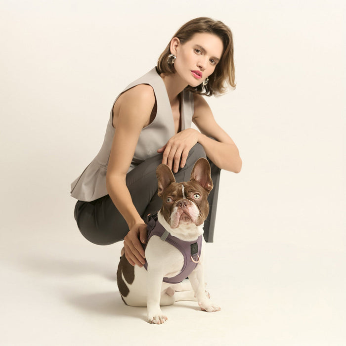 Lilac Gray SoHo Step-In Dog Harness, photo 2