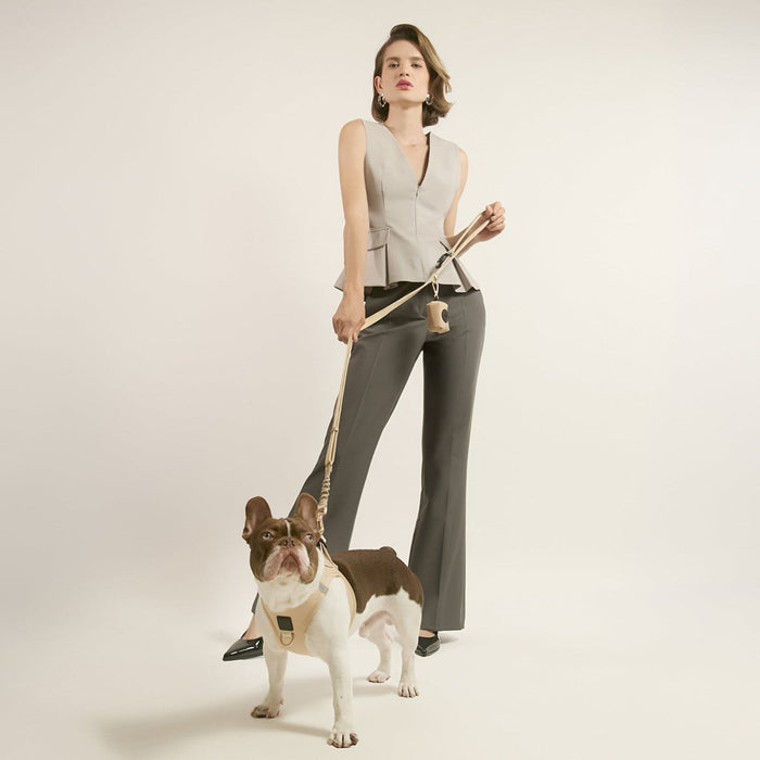 Dune SoHo Step-In Dog Harness, photo 3