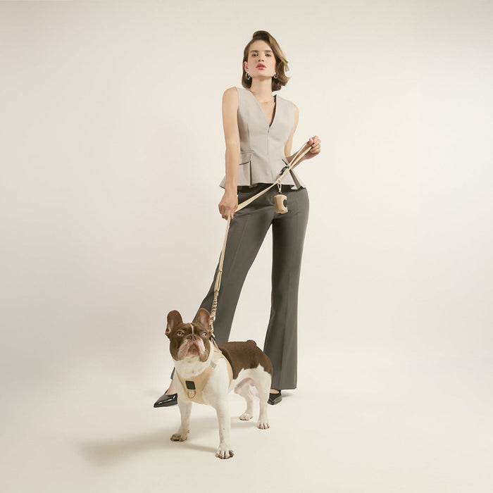 Dune City Bungee Dog Leash, photo 4