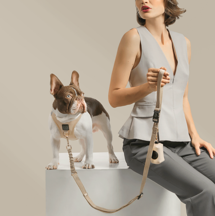 Dune City Bungee Dog Leash, photo 2