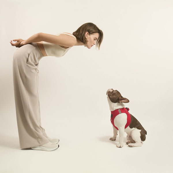 Iconic Red SoHo Step-In Dog Harness, photo 2