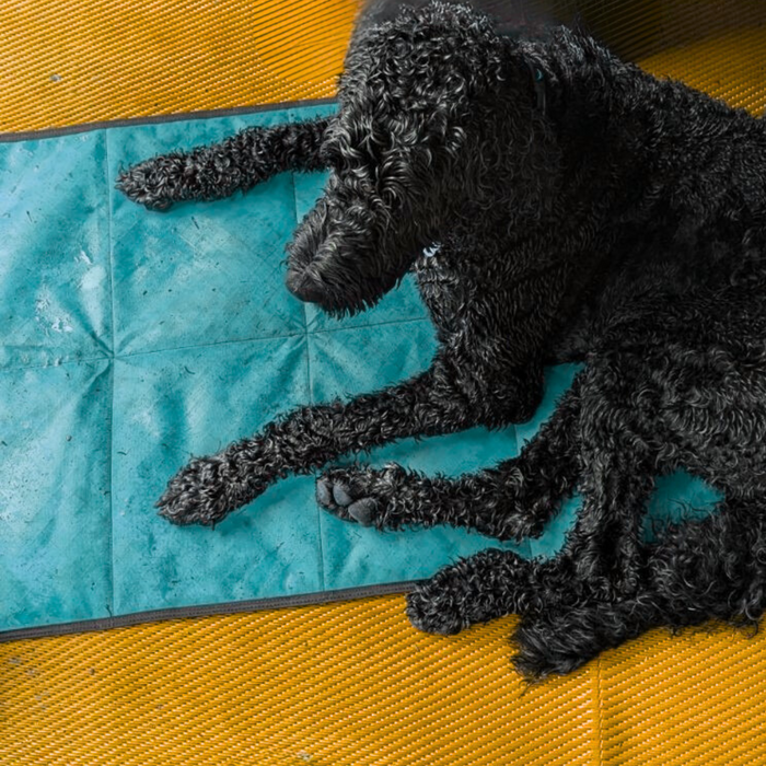 Ultralight Portable Dog Settle Mat, photo 19