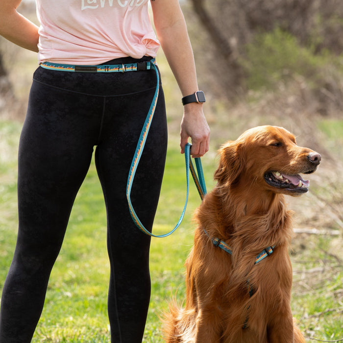 Adjustable Hands-Free Dog Leash, 3/4 Inch, photo 11