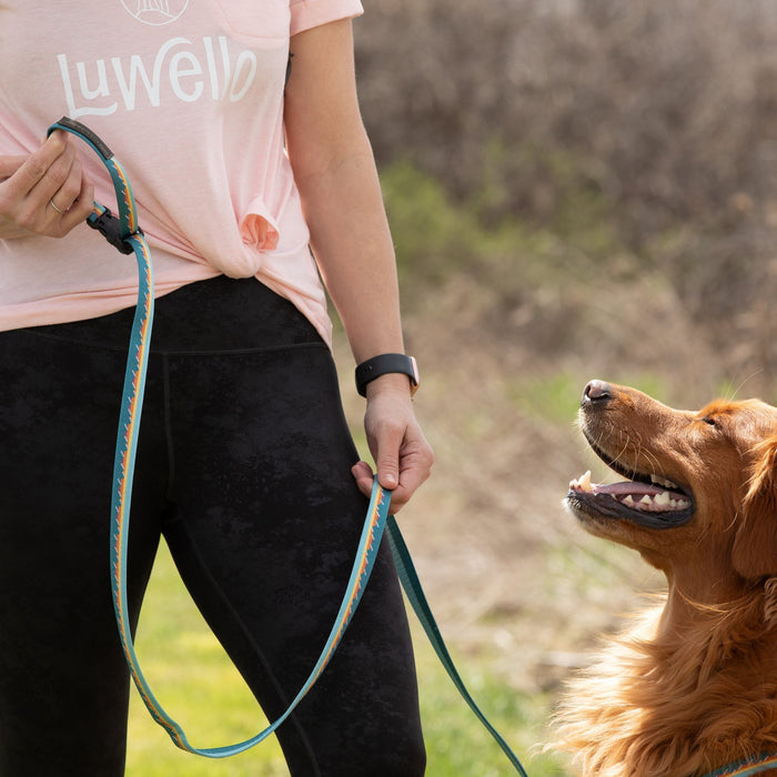 Adjustable Hands-Free Dog Leash, 3/4 Inch, photo 14