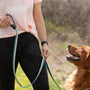 Adjustable Hands-Free Dog Leash, 1 Inch, photo 11