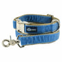 Dusty Blue Velvet Essential Dog Collar, photo 1