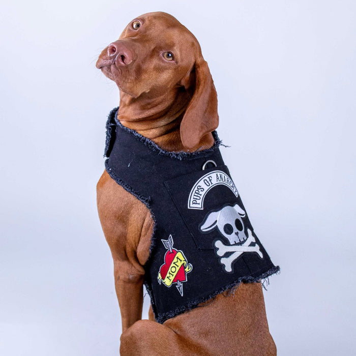 Pups of Anarchy Harness, photo 2
