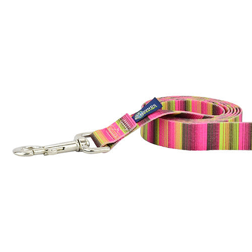 Correa para perro Bonnie EarthStyle, foto 1