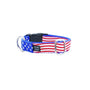 Collar martingala para perro Stars and Stripes Essential, 1 pulg. de ancho, foto 1