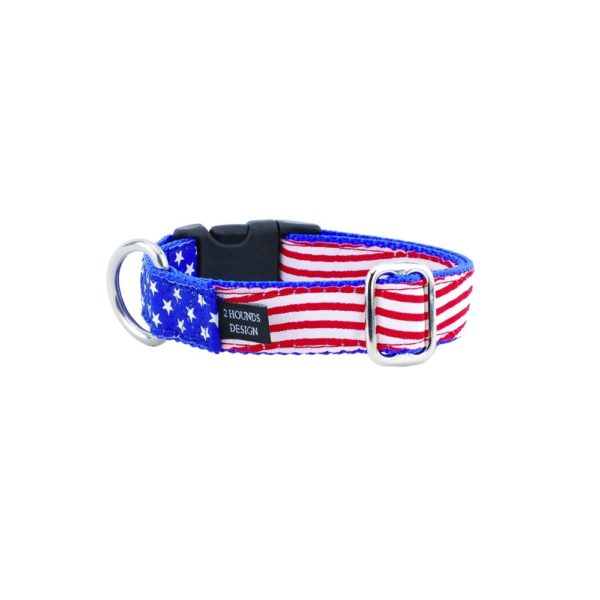 Collar martingala con hebilla para perro Stars and Stripes Essential, 1 pulg. de ancho, foto 1
