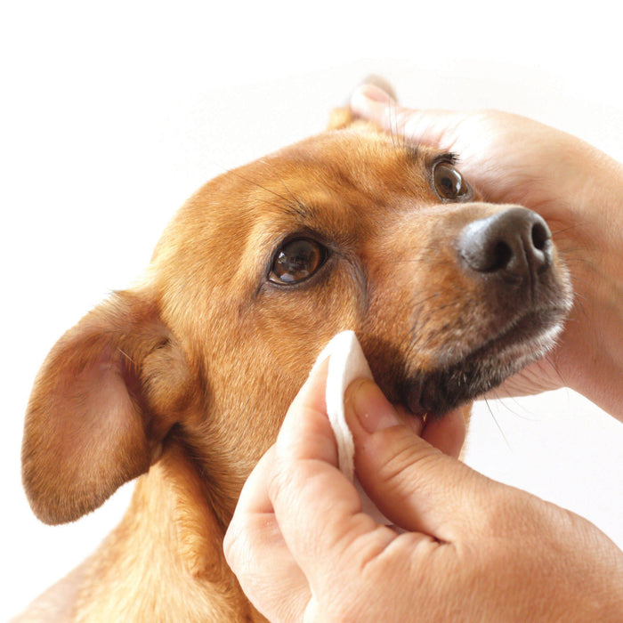 Toallitas para manchas de lágrimas bajo los ojos para perro, 50 unidades, foto 3