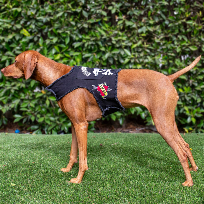 Pups of Anarchy Harness, photo 4