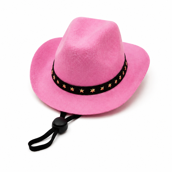 Cowboy Hat, photo 3