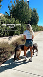 Dog Walking Club Crop Top