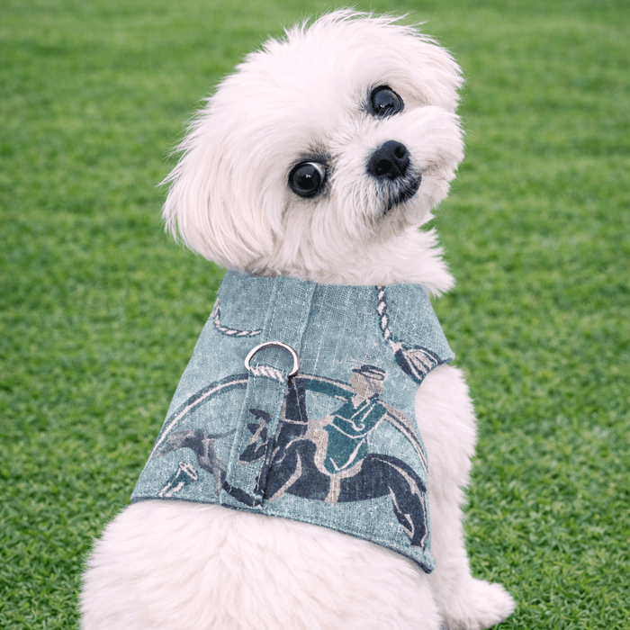 Arnés para perro Luxury Equestrian Linen, foto 3