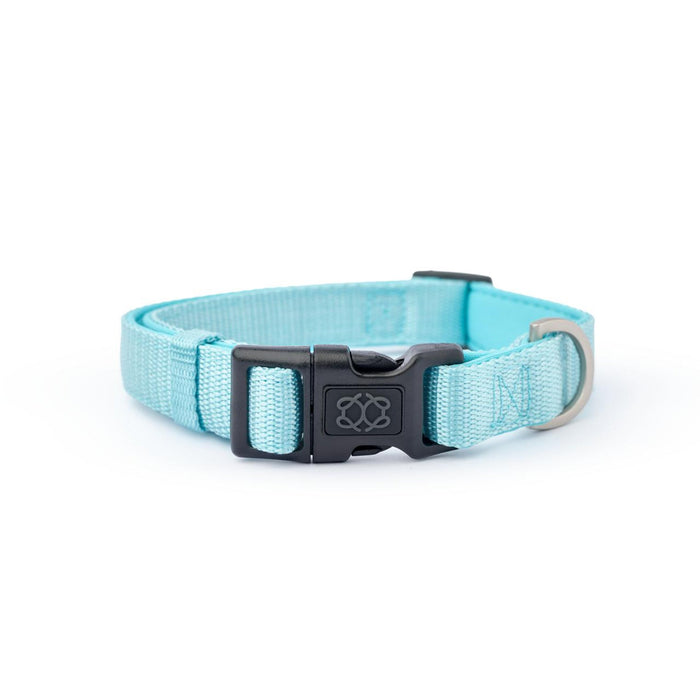 Fifth Avenue City Padded Dog Collar