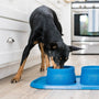 Non-Slip Dog Placemat, photo 3