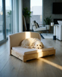 White doodle lying on the Haven dog bed in cream by tall windows