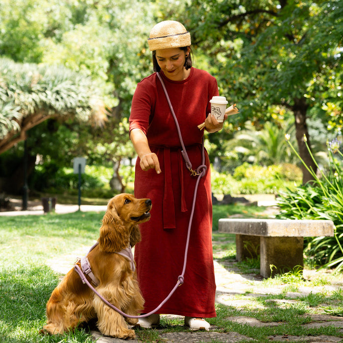 Woman in a park with a golden retriever on a hands-free braided leash