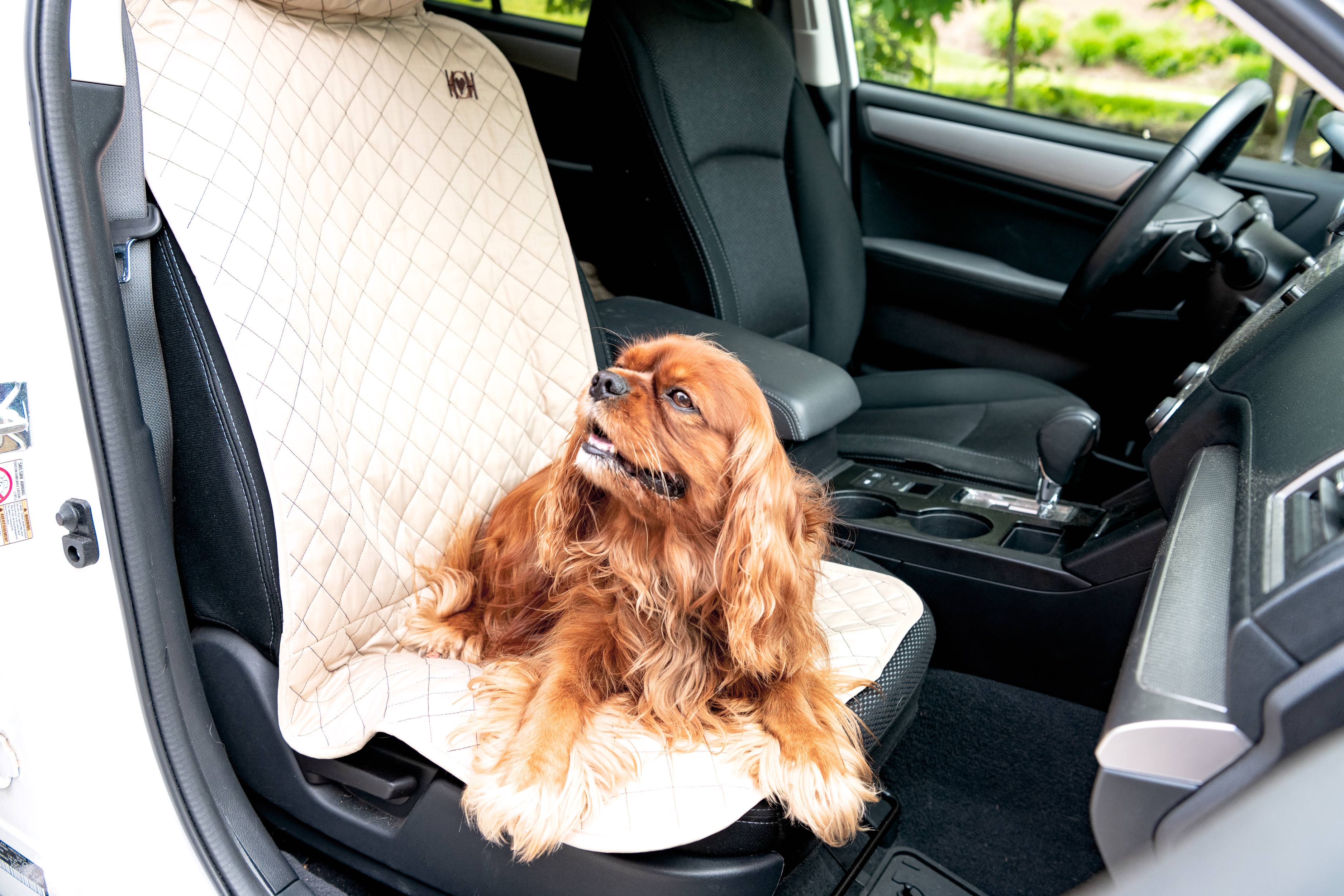 TuffutLuxx, protectores de asiento para el auto, foto 3