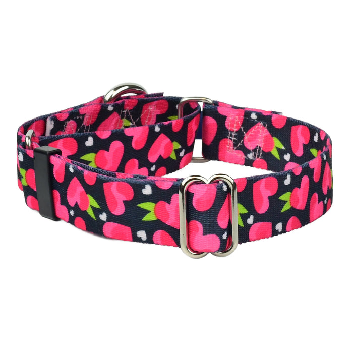 Collar martingala para perro Fruity Hearts EarthStyle, solo 1 pulg., foto 1