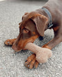 Funny Bone Plush Dog Toy, photo 2