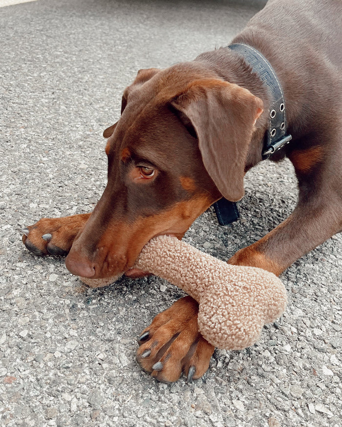 Funny Bone Plush Dog Toy, photo 2
