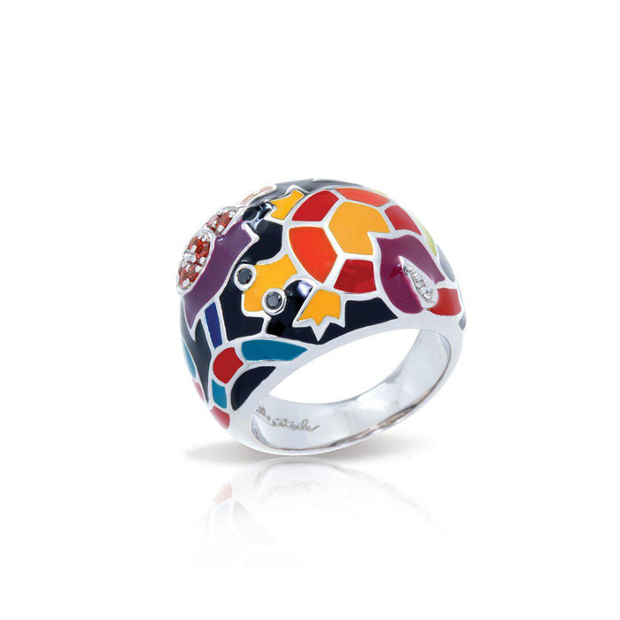 Anillo Galapagos, foto 1