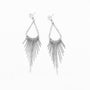 Long Tassel Earrings, photo 4