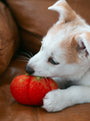 Heirloom Tomato Wool Dog and Cat Toy, photo 4