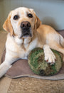 HuggleFleece, pelota de peluche de camuflaje para perro, foto 2