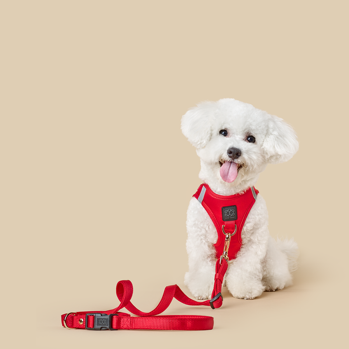 Arnés tipo chaleco SoHo para perro, rojo icónico, foto 6