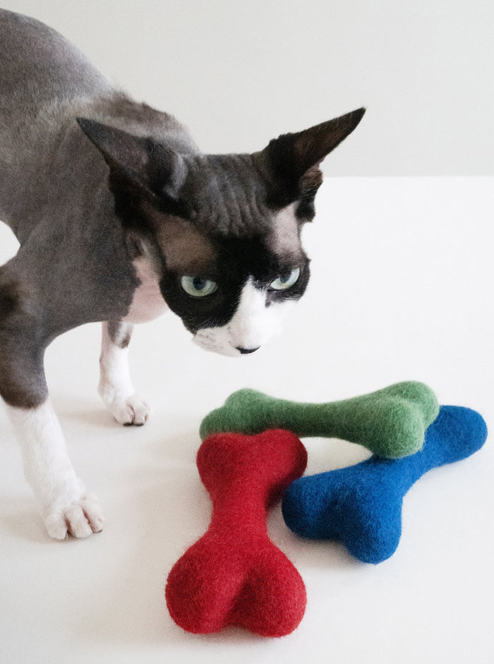 Juguete Woolbone para perro, foto 5