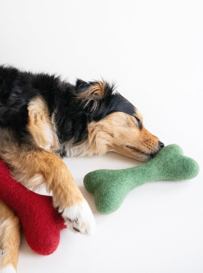 Juguete Woolbone para perro, foto 2