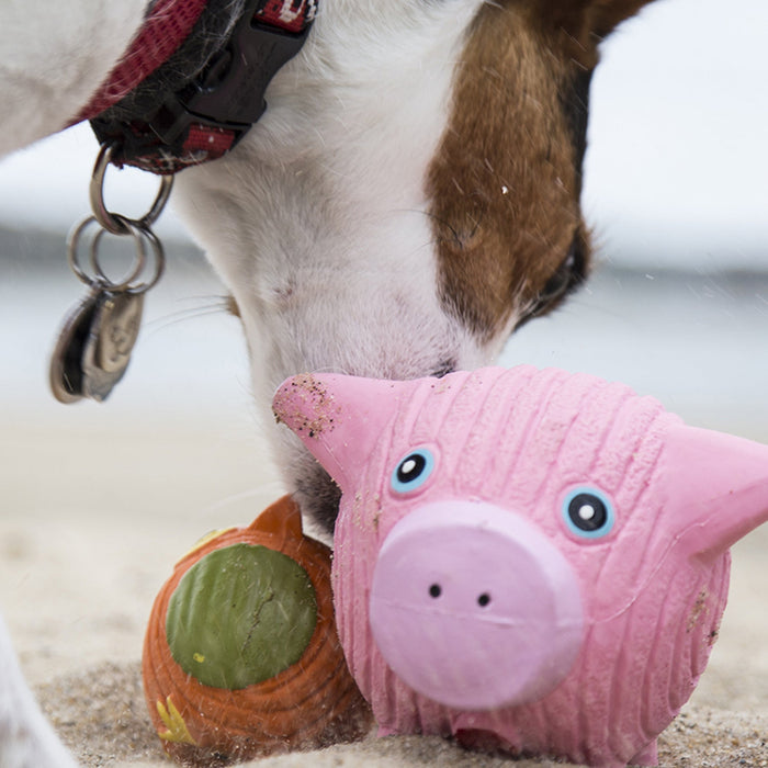 Hamlet Pig Ruff-Tex Latex Ball Dog Toy, Large, photo 3