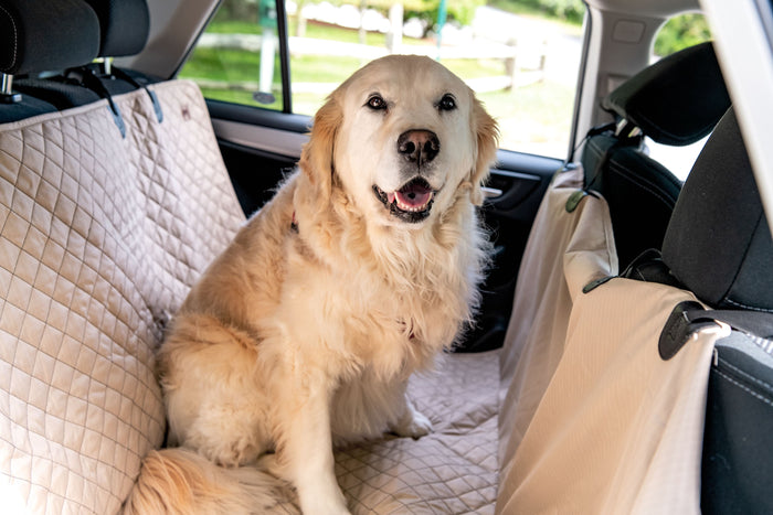 TuffutLuxx, protectores de asiento para el auto, foto 8