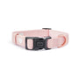 Sweetheart City Padded Dog Collar