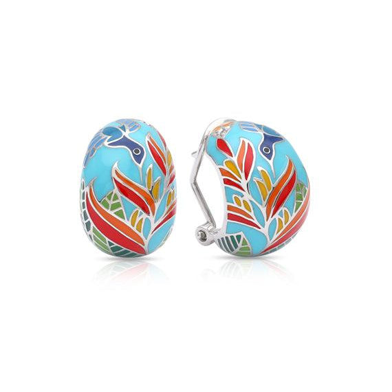 Aretes Hummingbird, foto 1