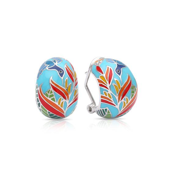 Aretes Hummingbird, foto 1