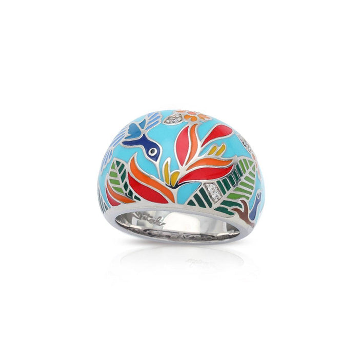 Anillo Hummingbird, foto 1