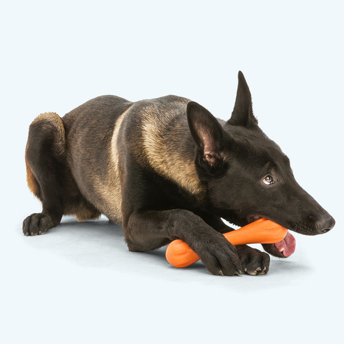 Hurley Chew Bone Dog Toy, photo 3