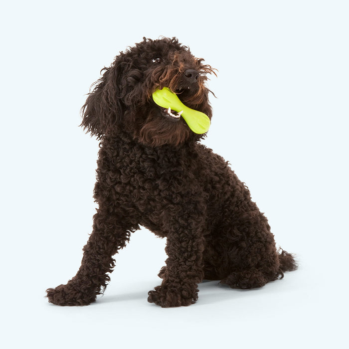 Hurley Chew Bone Dog Toy, photo 5
