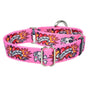I Luv My Dog EarthStyle Martingale Dog Collar, 1″ Only, photo 1